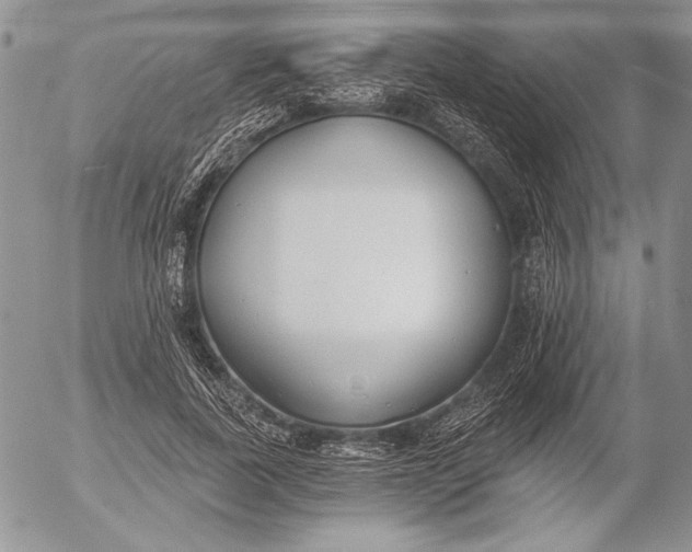 X0000053000739200507291642