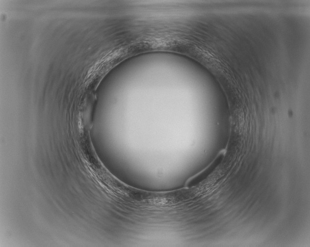 X0000053000740200507291642