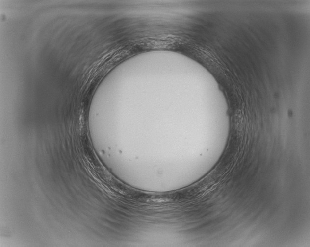 X0000053000741200507291642