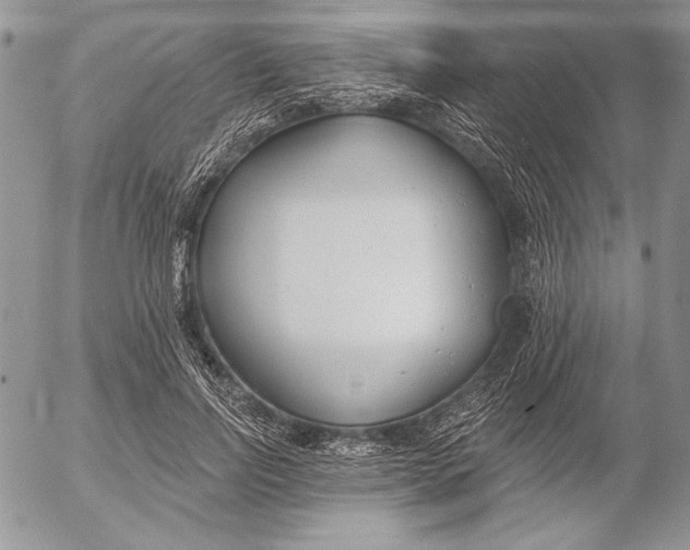 X0000053000742200507291642