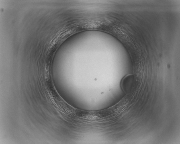 X0000053000743200507291642