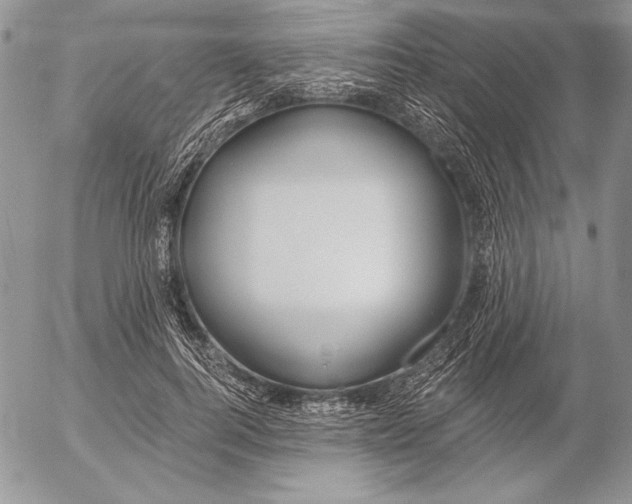 X0000053000744200507291642