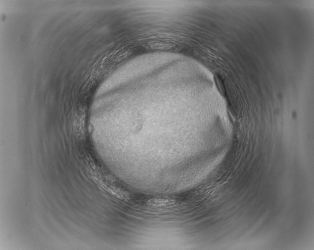 X0000053000745200507291642