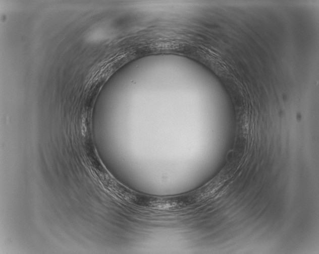 X0000053000746200507291642