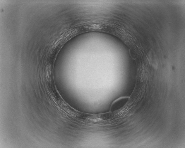 X0000053000747200507291642