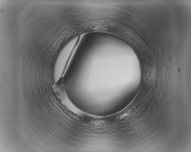 X0000053000748200507291642