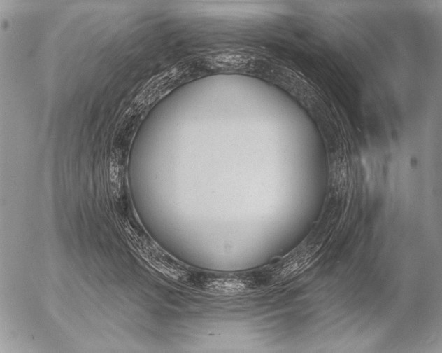 X0000053000749200507291642