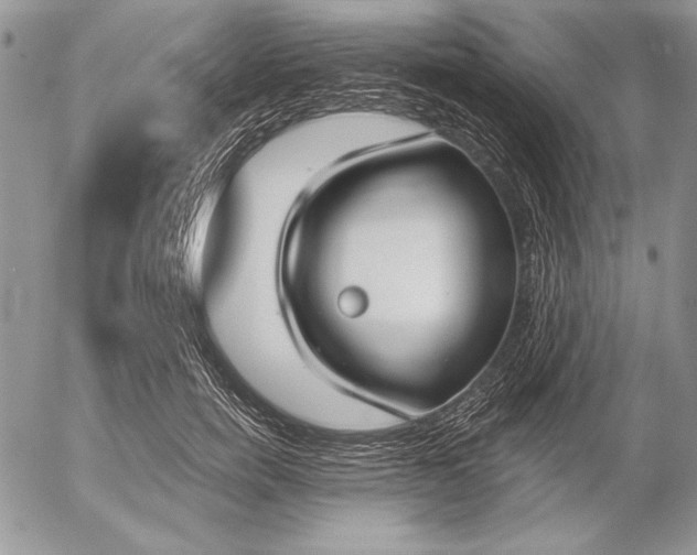 X0000053000750200507291642