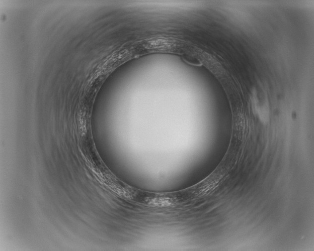 X0000053000751200507291642