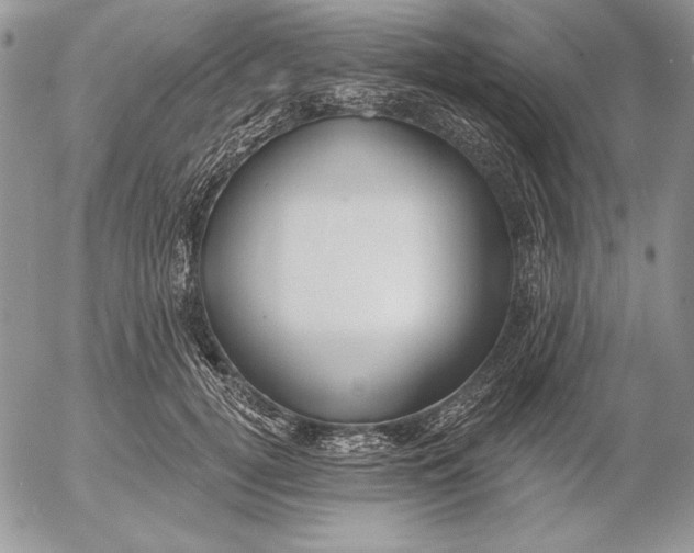 X0000053000752200507291642