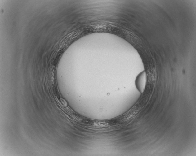 X0000053000753200507291642