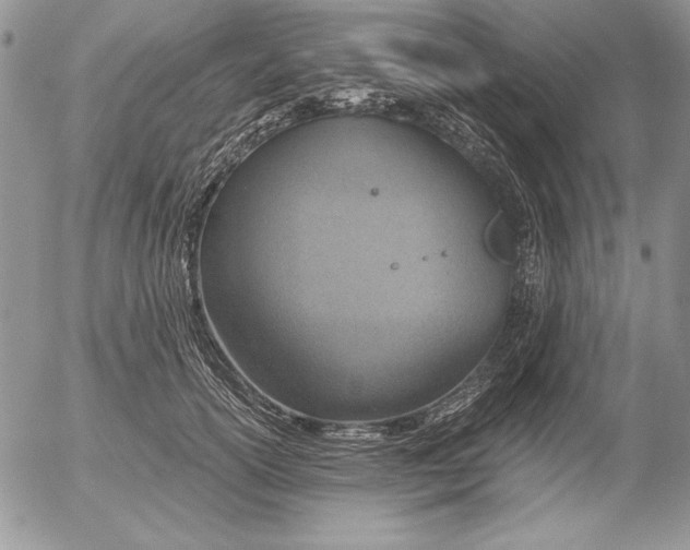 X0000053000754200507291642