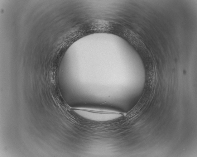 X0000053000755200507291642