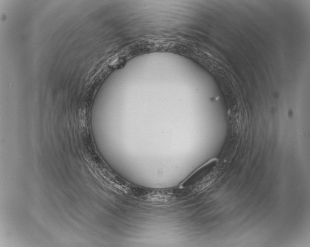 X0000053000756200507291642