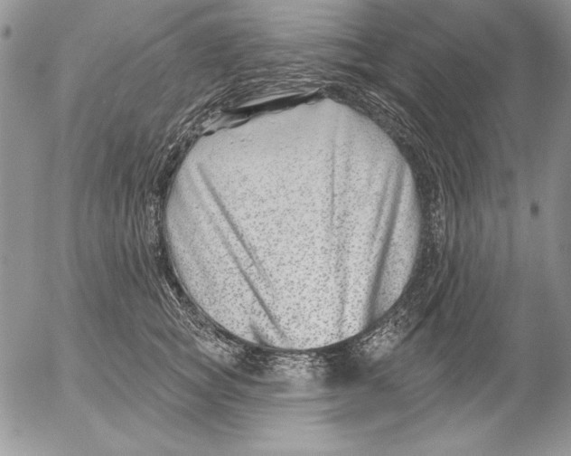 X0000053000757200507291642