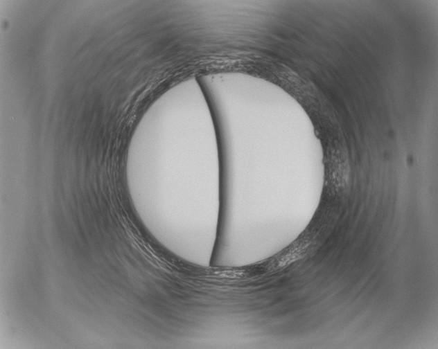 X0000053000758200507291642