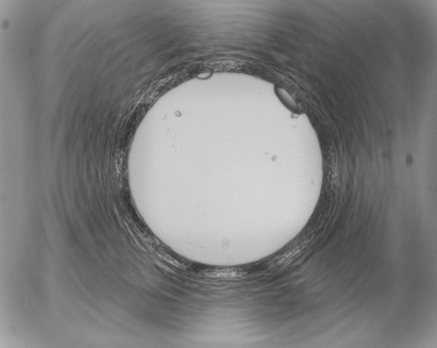 X0000053000759200507291642