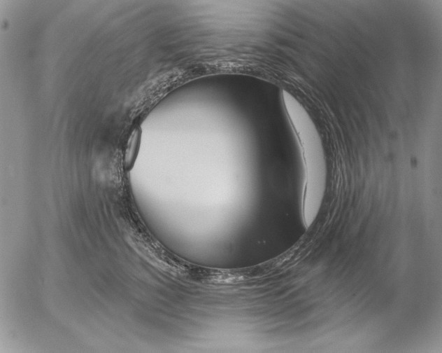 X0000053000760200507291642