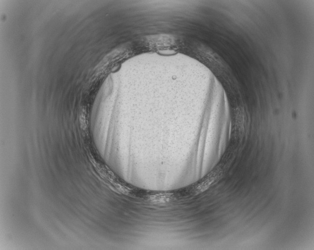 X0000053000761200507291642