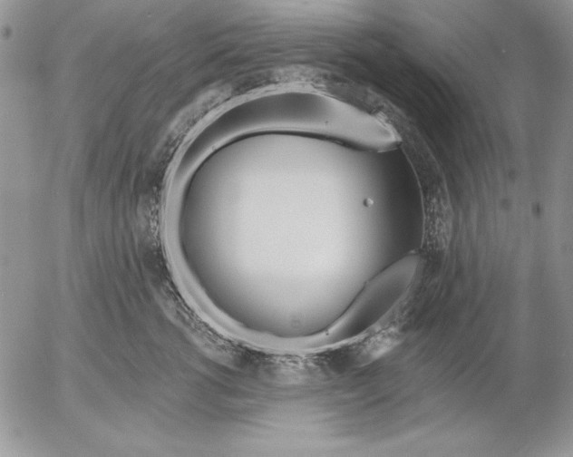 X0000053000762200507291642