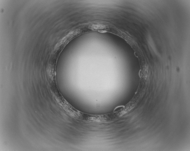 X0000053000763200507291642