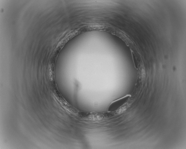 X0000053000764200507291642