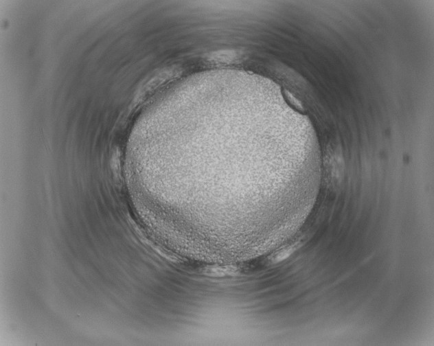 X0000053000765200507291642