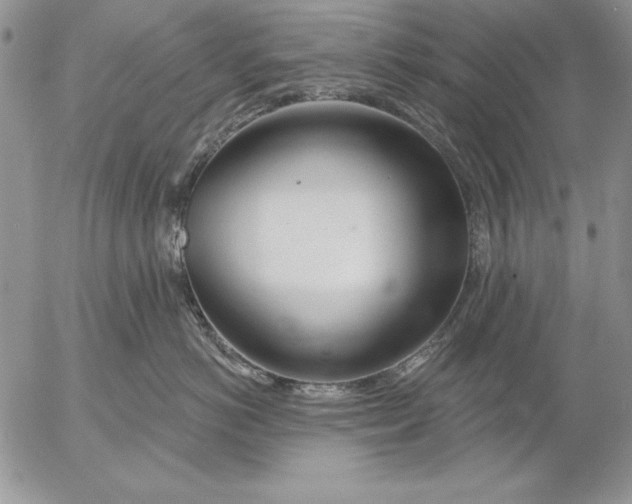 X0000053000766200507291642