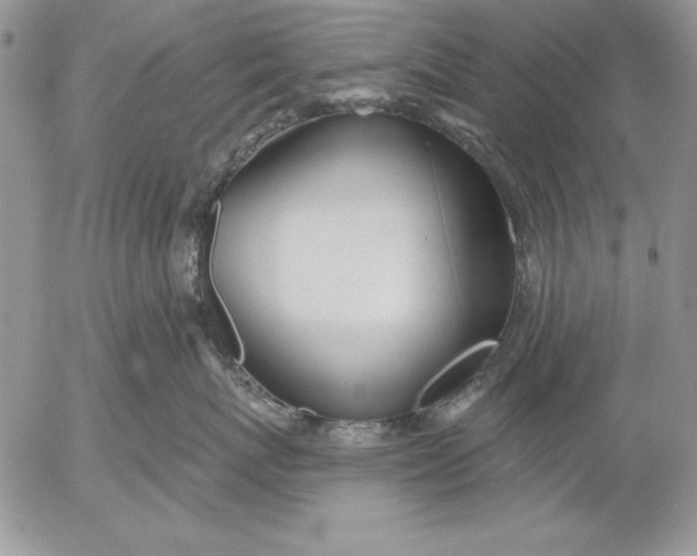 X0000053000767200507291642