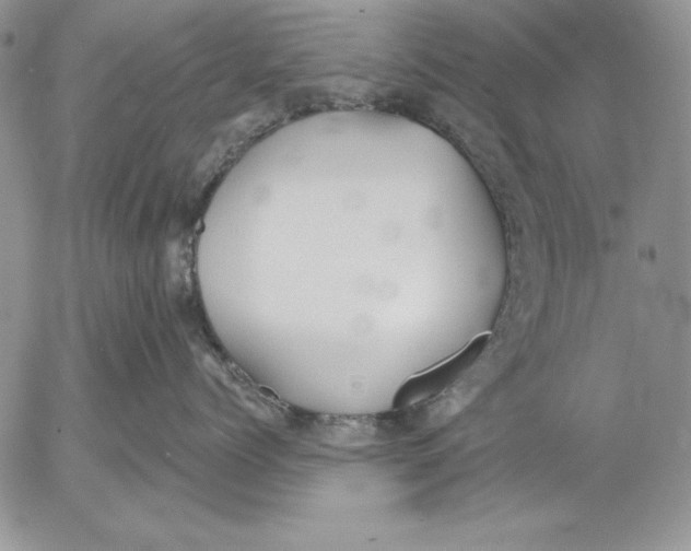 X0000053000768200507291642