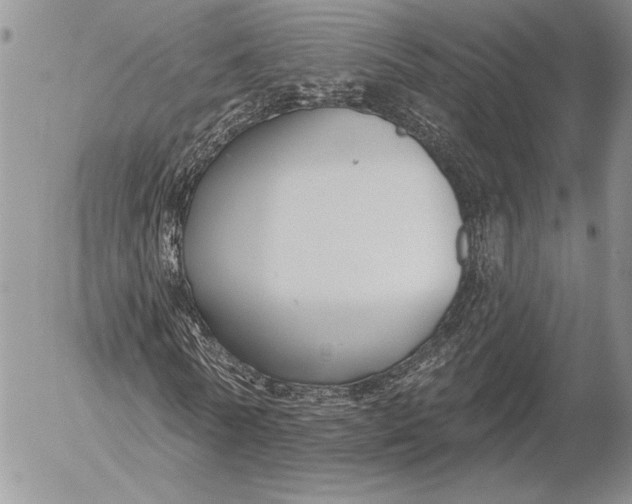 X0000053000770200507291641