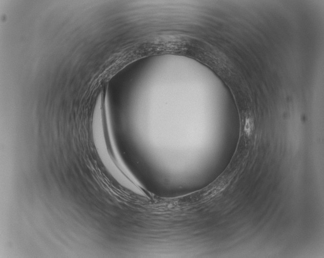 X0000053000771200507291641