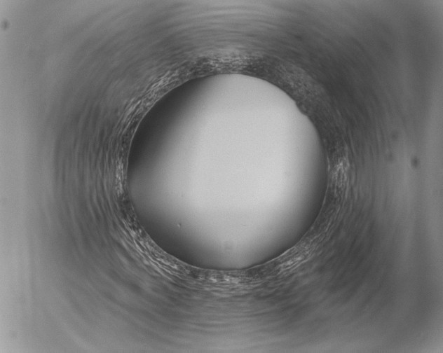 X0000053000772200507291641