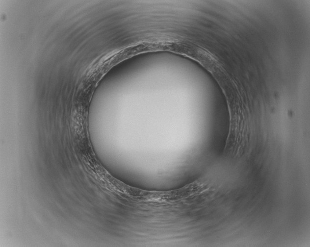 X0000053000773200507291641