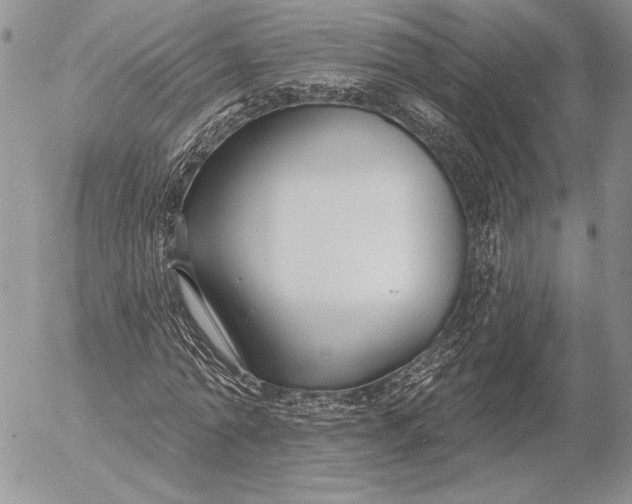 X0000053000774200507291641