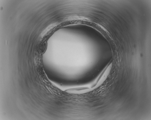 X0000053000775200507291641