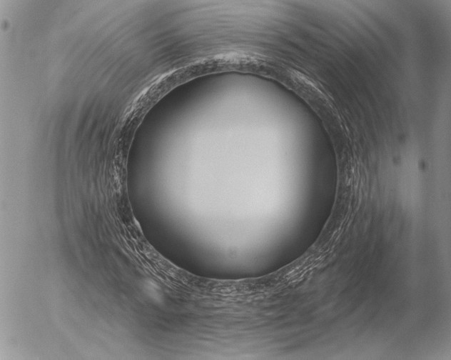 X0000053000776200507291641