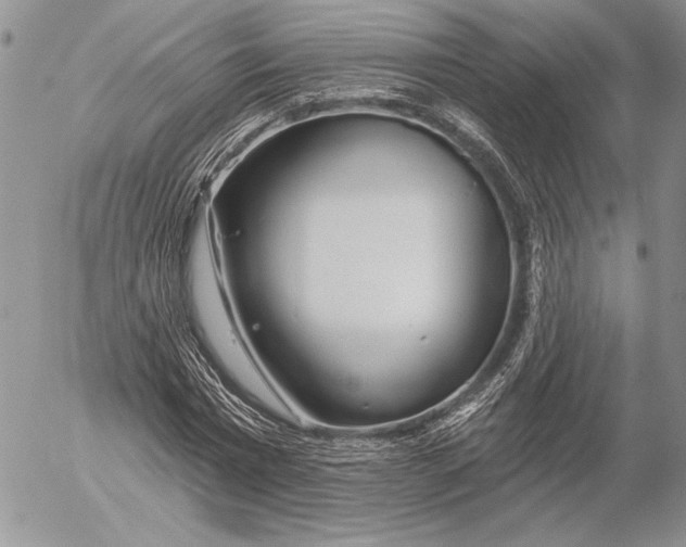 X0000053000777200507291641