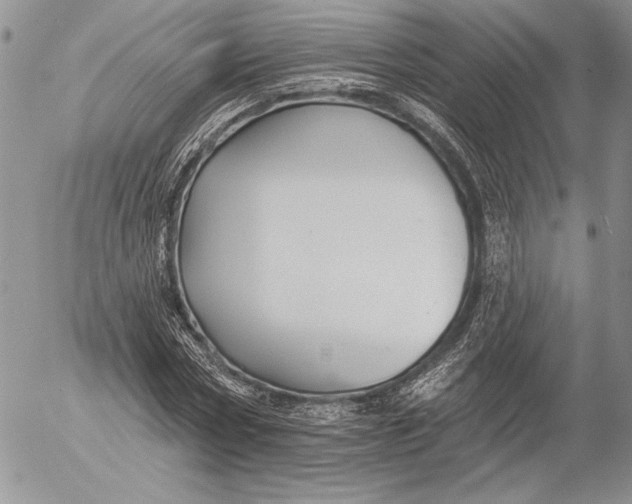 X0000053000778200507291641