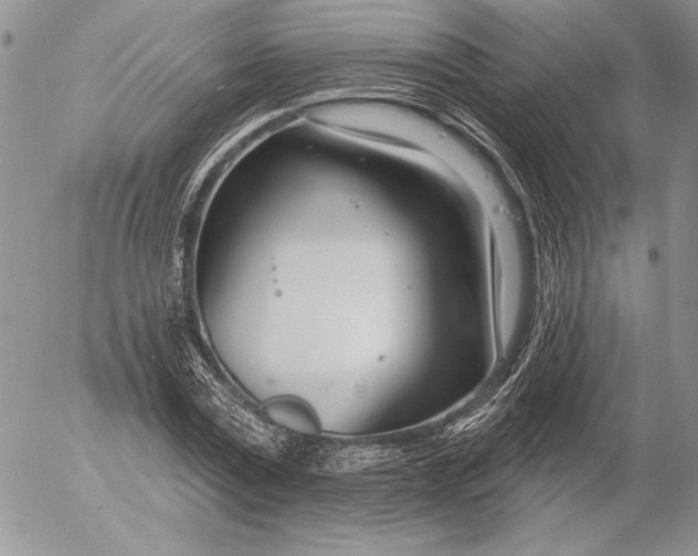 X0000053000779200507291641