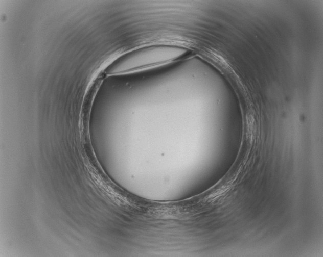 X0000053000780200507291641