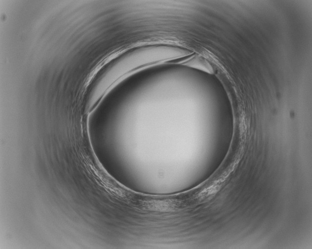 X0000053000781200507291641