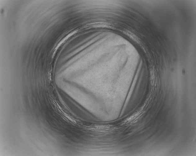 X0000053000782200507291641