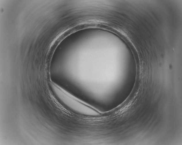 X0000053000783200507291641