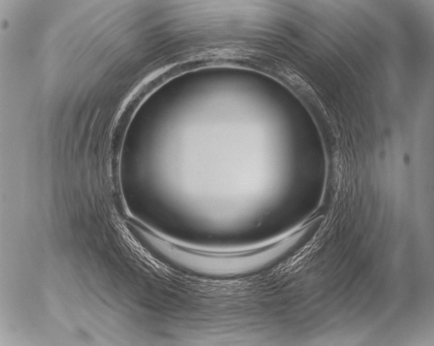 X0000053000784200507291641