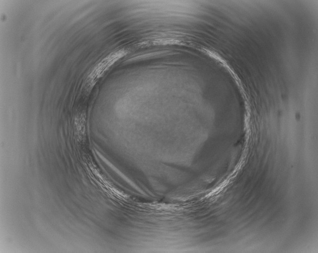 X0000053000785200507291641