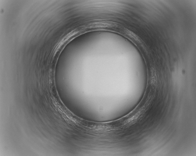 X0000053000786200507291641