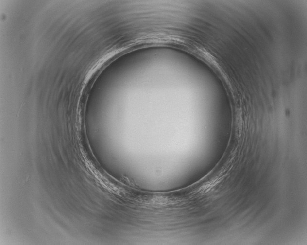 X0000053000787200507291641