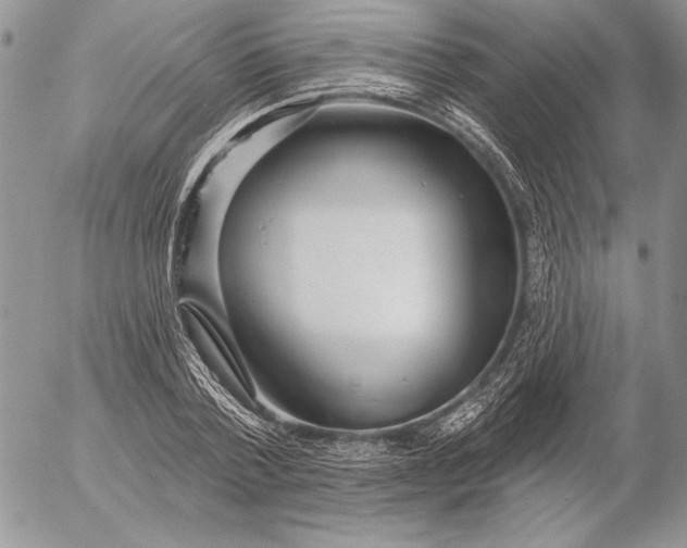 X0000053000788200507291641