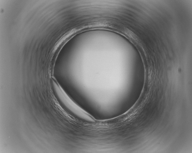 X0000053000789200507291641